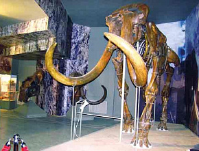 Энциклопедия Ростовской области: И