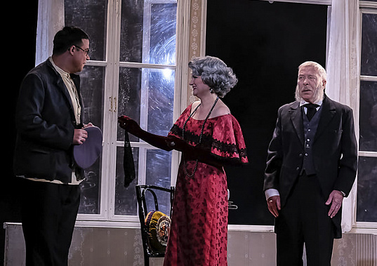 Юбилей любимого артиста в Новочеркасске отметят «Вишневым садом»