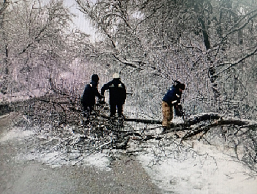 Источник фото: телеграм-канал В. Голубева.