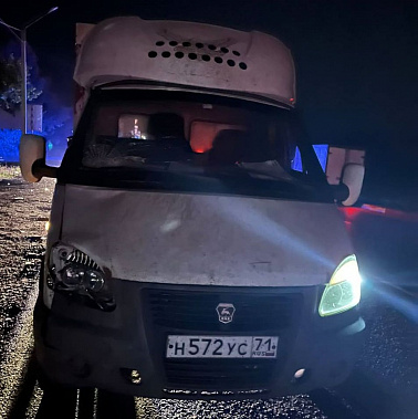 В Ростовской области на трассе ГАЗель сбила пешехода