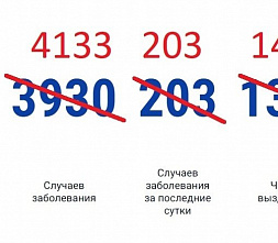 В Ростовской области за сутки выявили снова 203 новых случаев коронавирусной инфекции