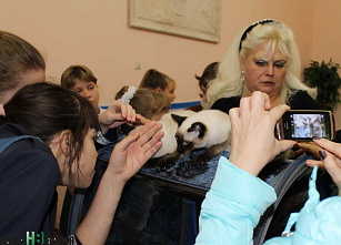 Поехали за путевкой!