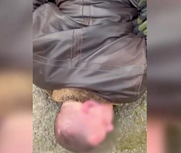 В приграничном с Ростовской областью поселке Изварино выявлен кол-центр аферистов