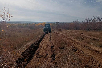 На землях лесного фонда Ростовской области посеют 600 кг семян хвои и более 400 кг акации