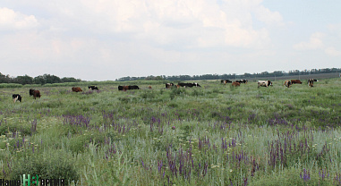 У каждого счастья – запах особый