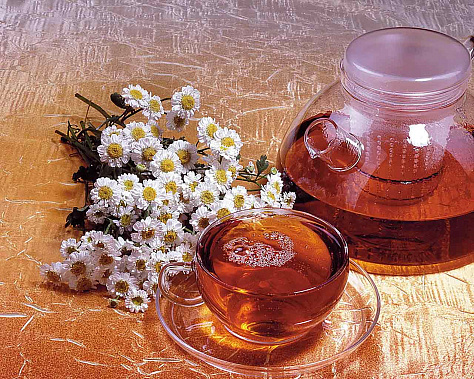 Пьем чай и лечимся
