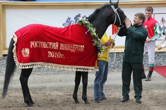 Р. Кадыров с жеребцом Хорезм на Ростовском ипподроме. Источник фото: nnov.kp.ru