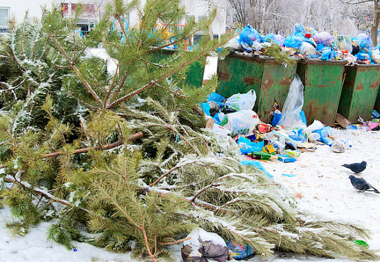 Жаловаться на мусор в новогодние праздники ростовчане смогут по «горячей линии»