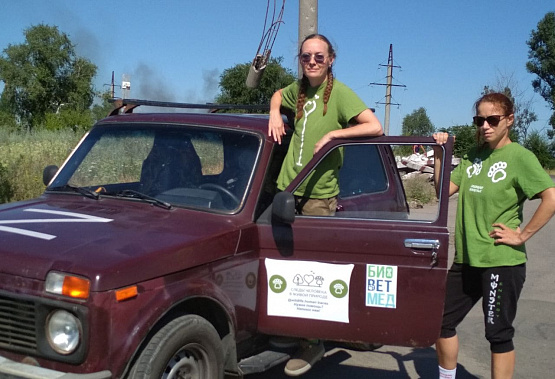 Сотрудники ДГТУ оказывают ветеринарную помощь животным Мариуполя