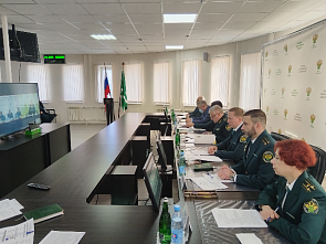  В Южной электронной таможне уходящий год «зацифровали»