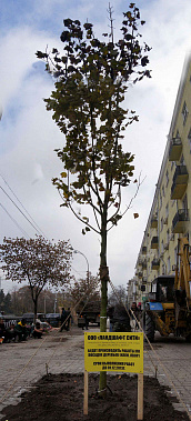 Лучший способ восстановить доверие