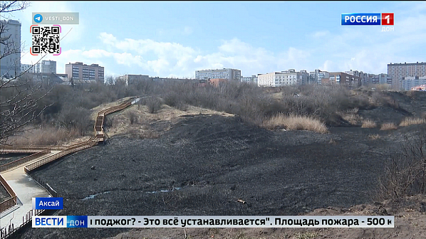 Мухина балка после пожара. Источник фото: скриншот новостного сюжета ГТРК 