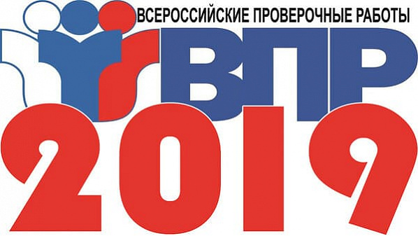 Школы в Ростовской области завысили результаты итоговых контрольных