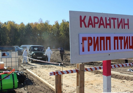 Источник фото: 40.mchs.gov.ru