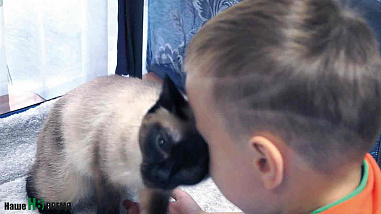 Опыт удался. Надо повторить!