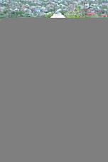 Рабочий визит накануне Победы