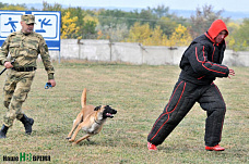 Собаки свое дело знают