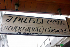 «Чрево Ростова»