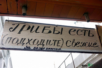 «Чрево Ростова»