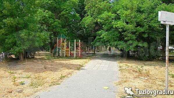 Сквер в Новочеркасске могут назвать в честь погибших героев спецоперации на Украине