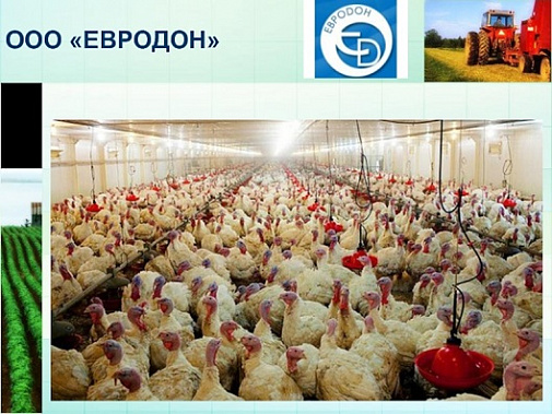 Активы «Евродона» выставлены на торги