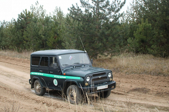 В Ростовской области усилили охрану ёлок