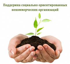 Донские НКО могут получить субсидию на социальные проекты