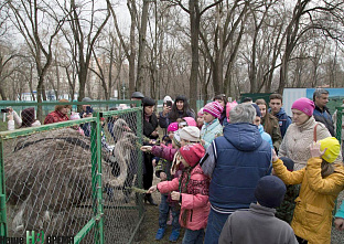 Когда на деревьях распускаются...  скворечники