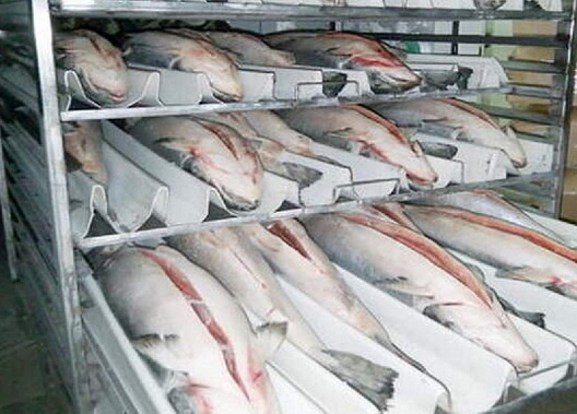 С берегов Дона в республики Донбасса поступило свыше 600 тонн рыбы