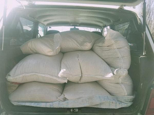 Студотряды Новочеркасска обеспечили едой приют для животных