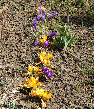 Погуляем, поснимаем - 3