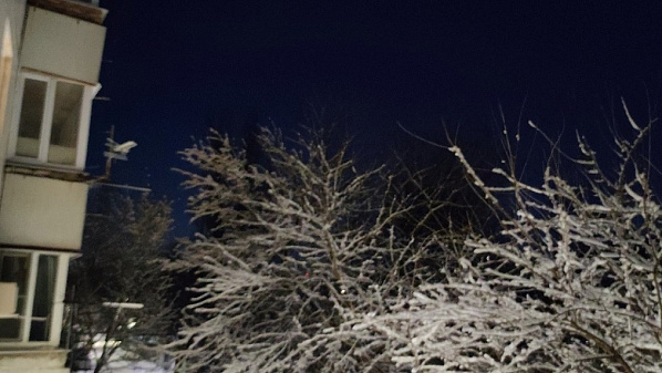 Источник фото: скриншот сюжета на канале 