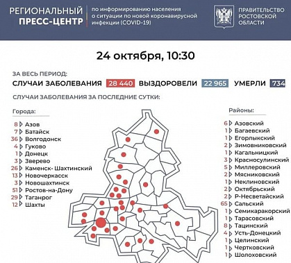 Второй раз с начала пандемии Ростов-на-Дону оказался не первым по новым случаям COVID-19