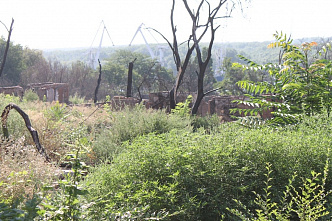 Год работы – виновные найдены