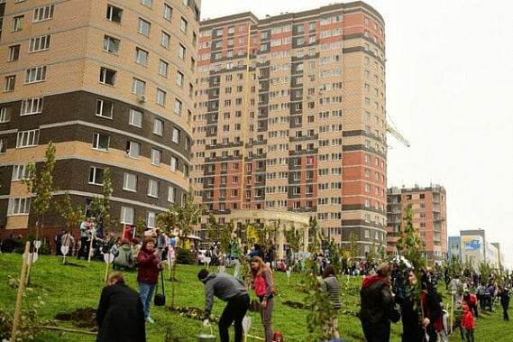 фото сайта donland.ru