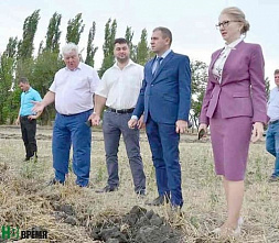 Сеять или влагу копить?