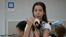 Круглый год добра