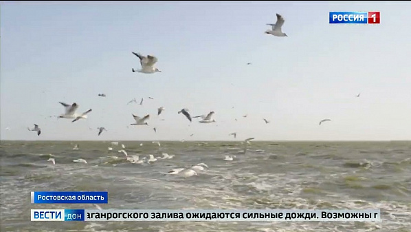 Таганрогский залив: надвигается мощный шторм