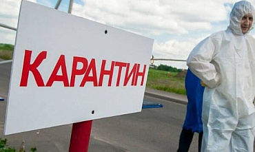 В Неклиновском районе введен режим ЧС из-за птичьего гриппа