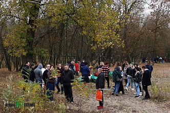 В ростовской роще на левом берегу Дона начался субботник