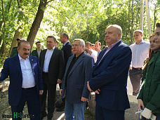 Исцеление Темерника