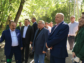 Исцеление Темерника