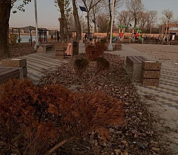 Донские урбанисты оценили благоустройство Зеленого острова в Ростове