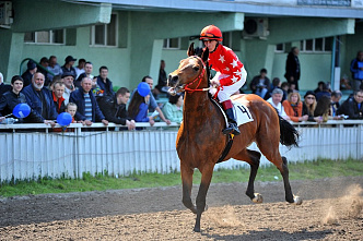 На ипподроме начали принимать ставки