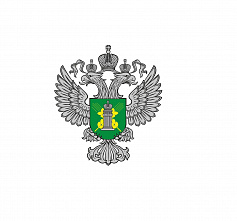 В Ростовской области обнаружены фантомные площадки по обороту животноводческой продукции