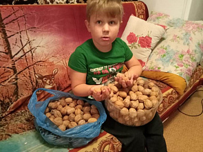 В Тацинском районе отметили «День урожая»