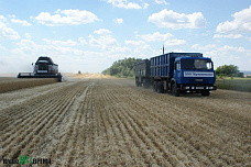 Колос Верхнего Дона