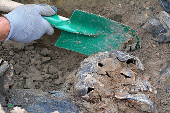 Что скрывает карьер смерти под Сальском?