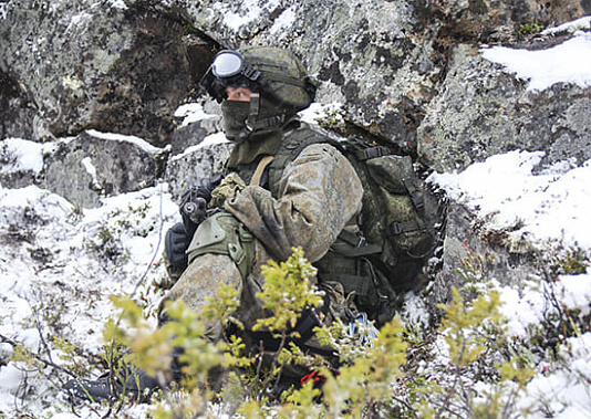 В ЮВО начались крупномасштабные военные учения
