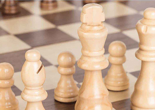 Дончане отправятся в Сочи на шахматный «Мемориал Александра Сапфирова»